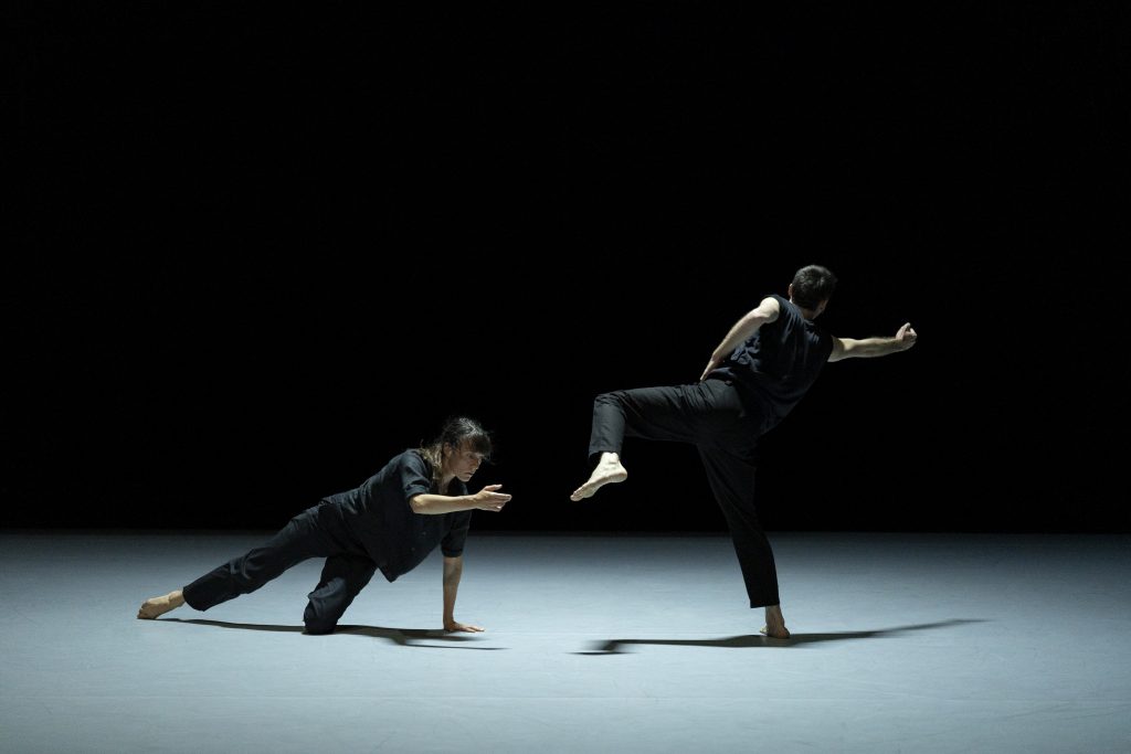 à l&rsquo;ombre d&rsquo;un vaste détail, hors tempête. image 4